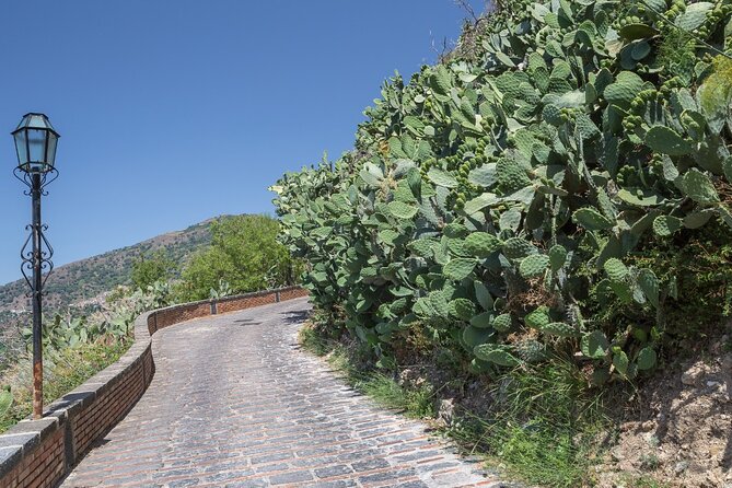 Full-Day Private Tour of Taormina and Savoca From Taormina - Whats Included