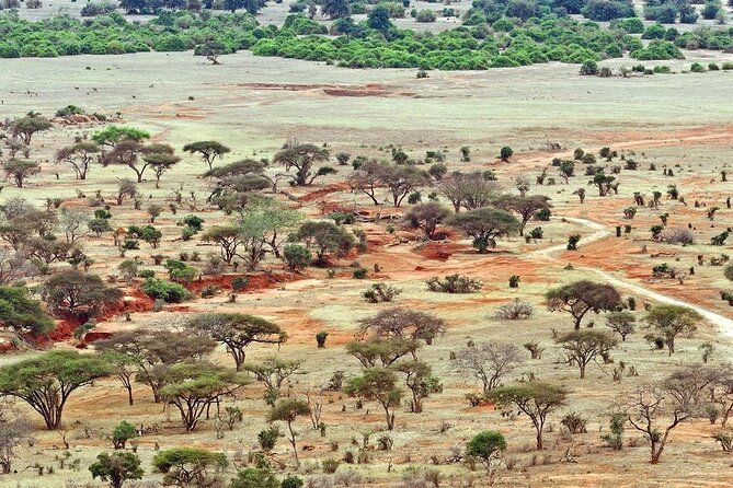 Full-Day Private Tour of Tsavo East National Park From Mombasa - Tour Logistics