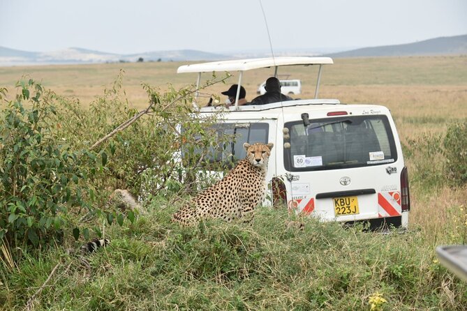 Full-Day Private Tour of Tsavo East National Park From Mombasa - Park Highlights