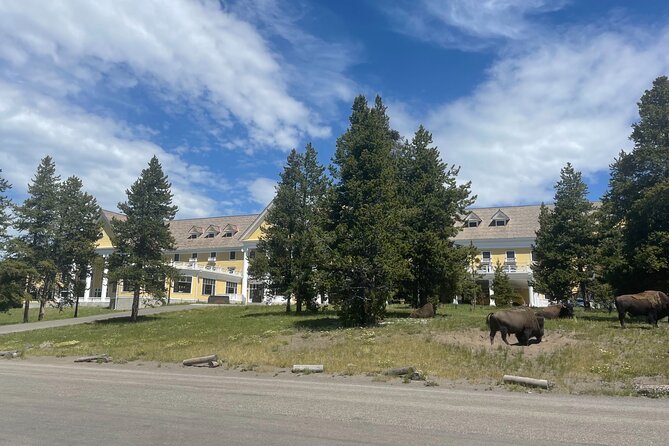 Full-Day Private Tour of Yellowstone - Schedule
