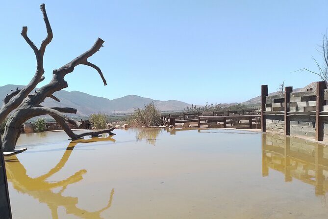 Full Day Private Tour or Guadalupe Valley Weekend - The Itinerary in Detail: What to Expect