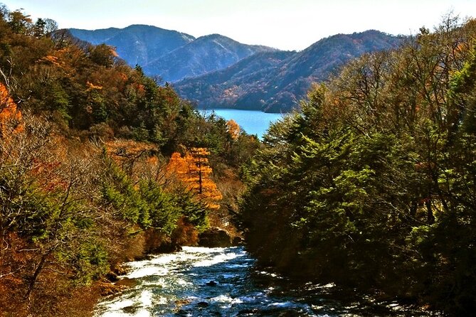 Full Day Private Tour & Sightseeing to Nikko(Eng Speaking Driver) - Included Features