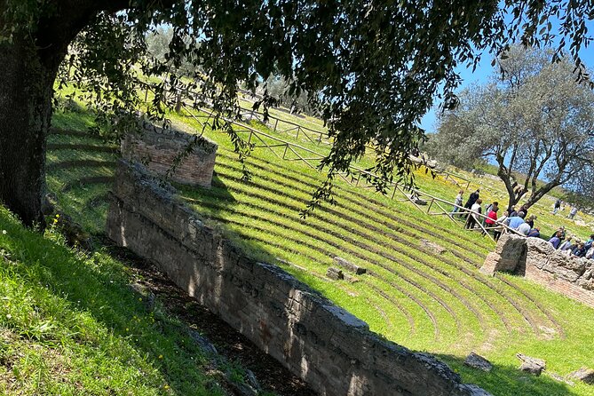 Full Day Private Tour-Temples of Paestum and Ruins of Pompeii - Cancellation Policy