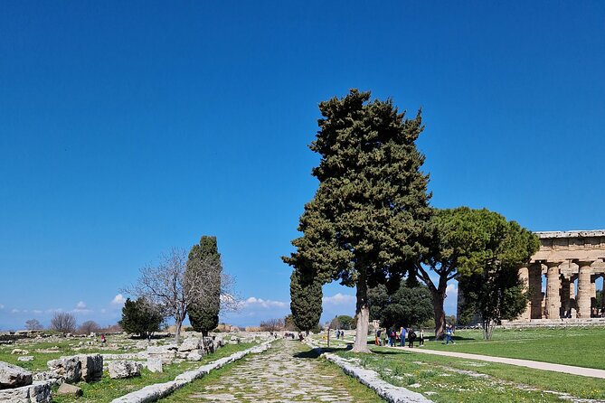 Full Day Private Tour-Temples of Paestum and Ruins of Pompeii - Customer Feedback
