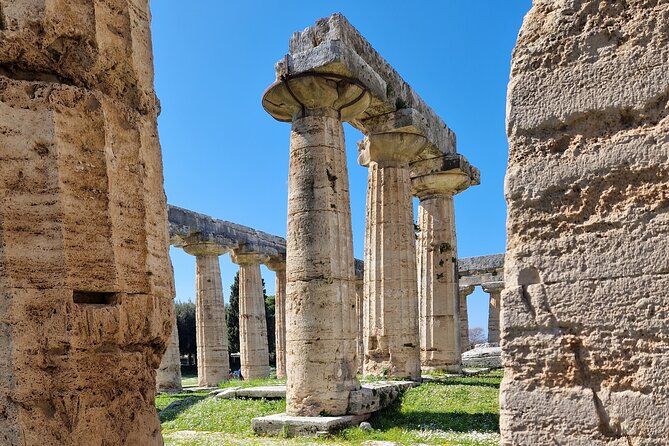 Full Day Private Tour-Temples of Paestum and Ruins of Pompeii - Transportation Options