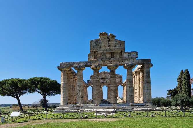 Full Day Private Tour-Temples of Paestum and Ruins of Pompeii - What to Expect