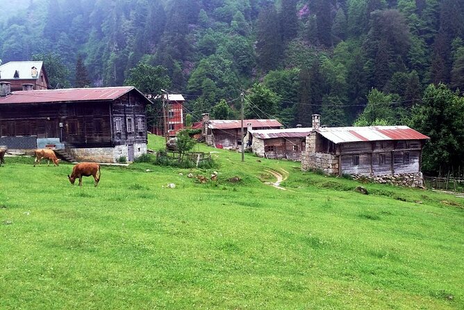Full-Day Private Tour to Ayder Plateau From Trabzon - Adventurous Activities Offered