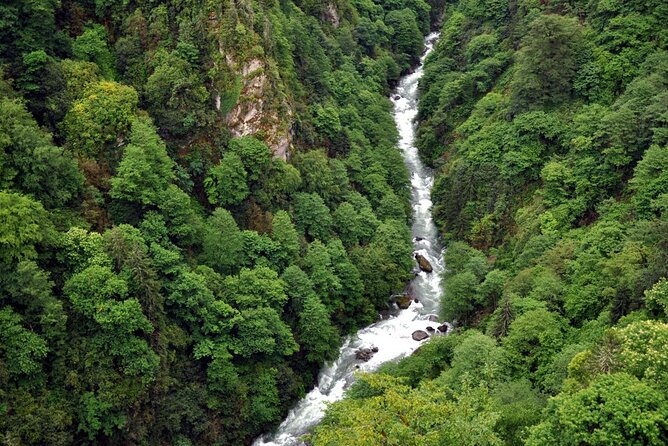 Full-Day Private Tour to Ayder Plateau From Trabzon - Traveler Feedback and Highlights