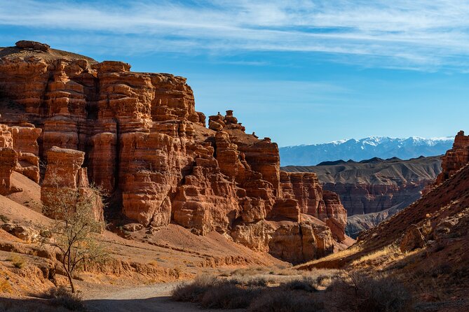 Full Day Private Tour to Charyn Canyons - Tour Specifications