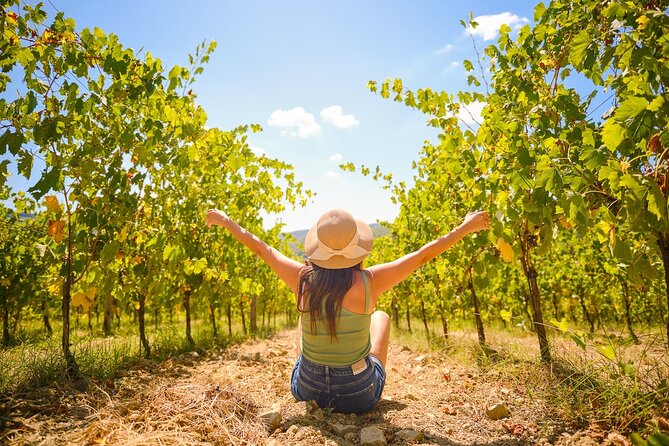 Full Day Private Tour to Chianti Wine Region From Florence - Booking Information