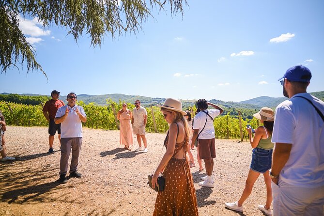 Full Day Private Tour to Chianti Wine Region From Florence - Traveler Considerations