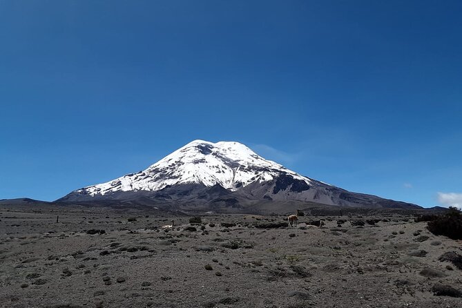 Full Day Private Tour to Cotopaxi Volcano and Quilotoa Lagoon - Meeting and Pickup