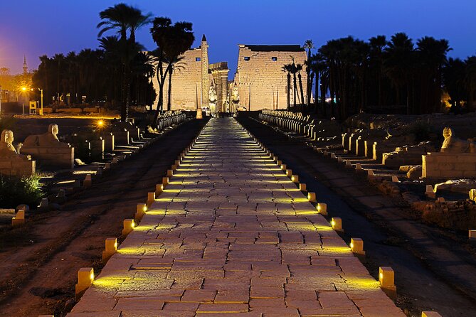 Full Day Private Tour to East and West Banks of Luxor - Experience Highlights