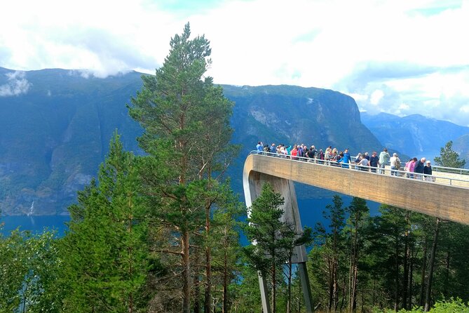 Full Day Private Tour to Flam With Pick up - Tour Reviews