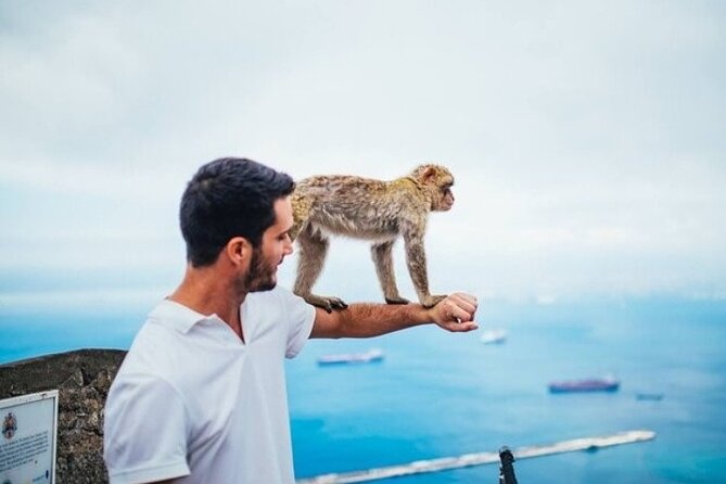 Full Day Private Tour to Gibraltar From Malaga - Recap