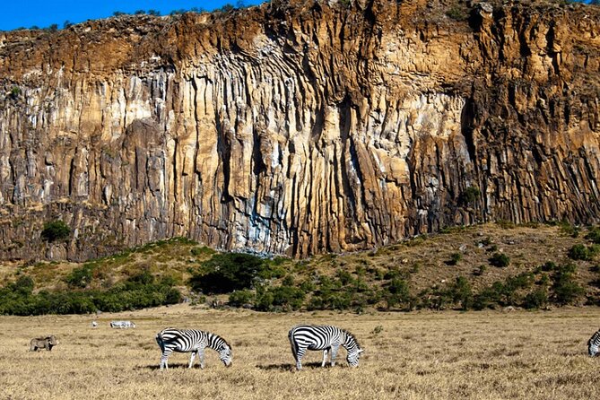 Full Day Private Tour to Hells Gate National Park From Nairobi. - Accessibility and Participation
