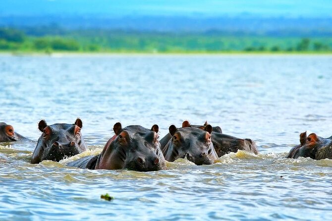 Full Day Private Tour to Hells Gate National Park From Nairobi. - Booking Information