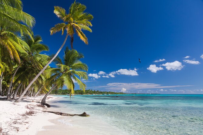 Full Day Private Tour to Isla Saona - Accessibility and Health Considerations