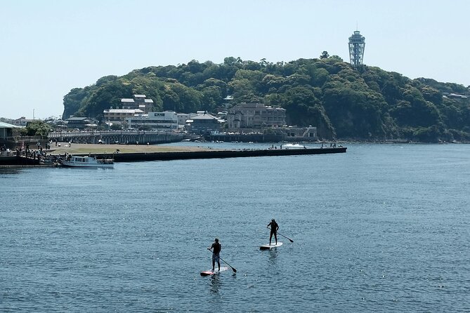 Full Day Private Tour to Kamakura by Luxury Vehicle - Accessibility and Participation