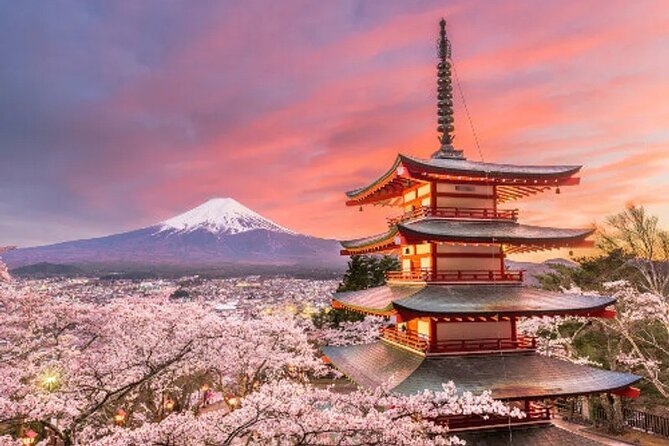 Full Day Private Tour To Mount Fuji Assisted By English Chauffeur - Tour Details