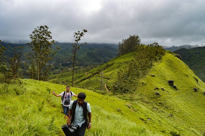 Full-Day Private Tour to Munnar From Kochi With Lunch - Popular Destinations in Kerala