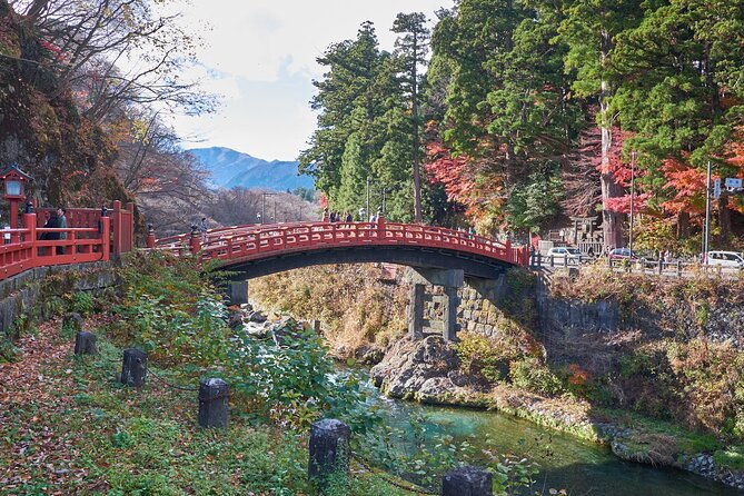 Full Day Private Tour to Nikko With English Speaking Driver - Reviews