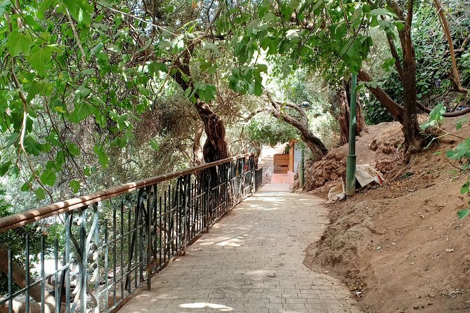 Full-Day Private Tour to Ouzoud Waterfalls From Marrakech - About Ouzoud Waterfalls