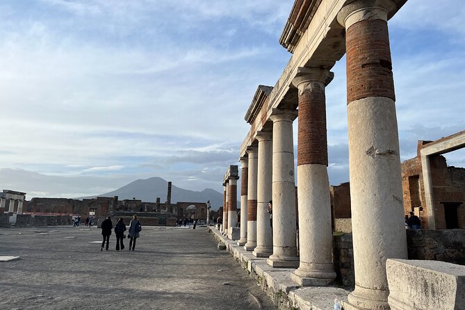 Full Day Private Tour to Pompeii, Herculaneum and Oplontis - Inclusions and Exclusions