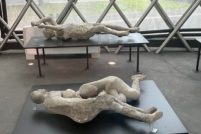 Full Day Private Tour to Pompeii, Herculaneum and Oplontis - Visiting Pompeii Archaeological Park