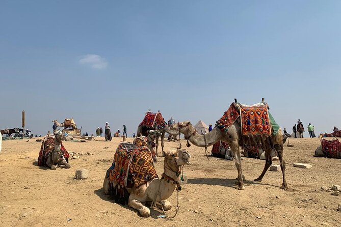 Full-Day Private Tour to Pyramids of Giza and Egyptian Museum - Key Points