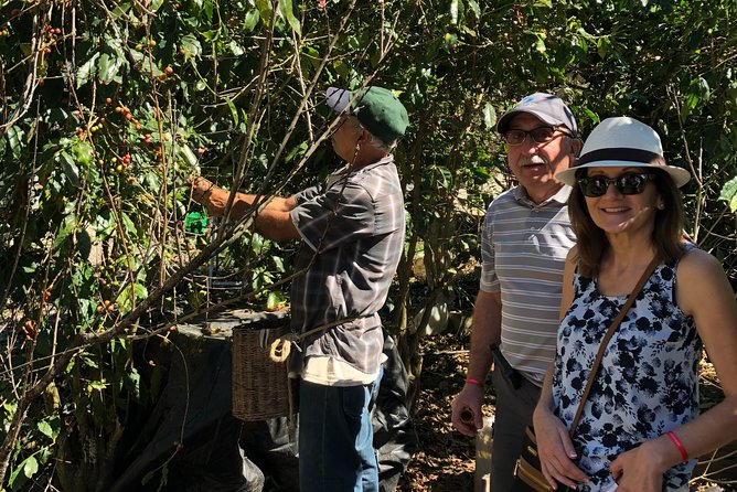 Full-Day Private Tour to San Sebastian Del Oeste With Guide - Tasting Local Delicacies