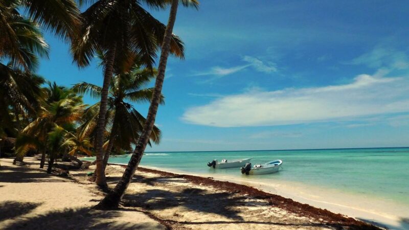 Full-Day Private Tour to Saona Island - Dining Experience