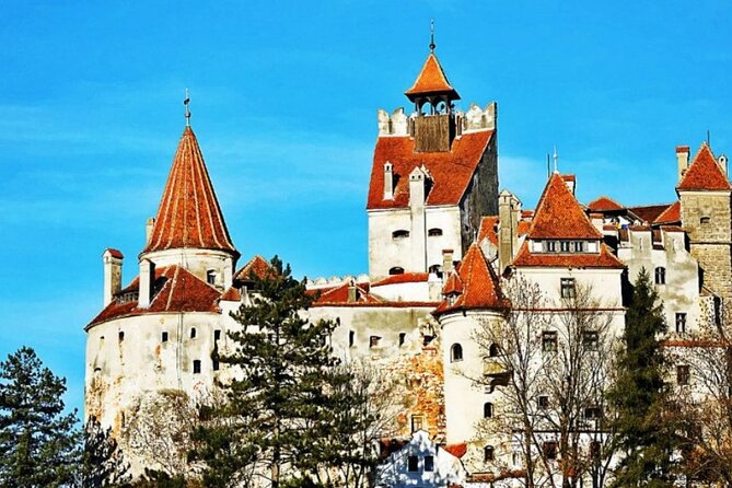 Full-Day Private Tour to Sinaia, Bran and Brasov From Bucharest - Accessibility and Restrictions