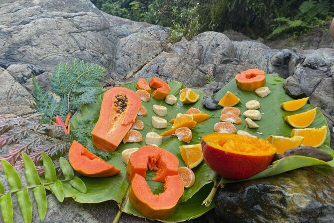 Full-Day Private Tour to Tinajas Waterfalls in El Yunque - Inclusions and Logistics
