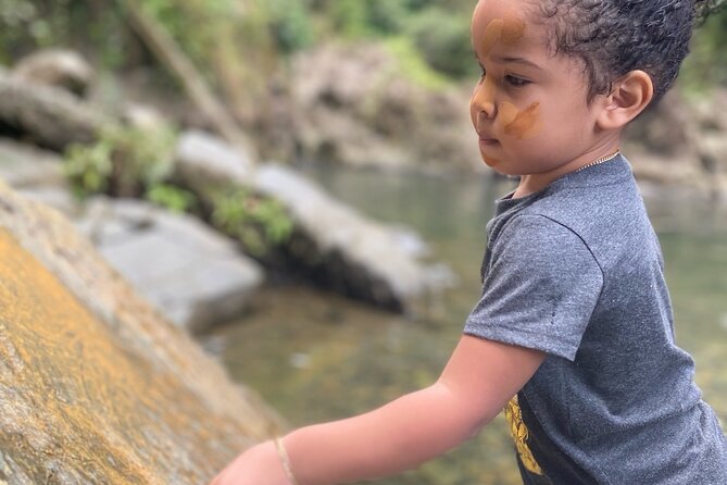 Full-Day Private Tour to Tinajas Waterfalls in El Yunque - Health and Safety Considerations