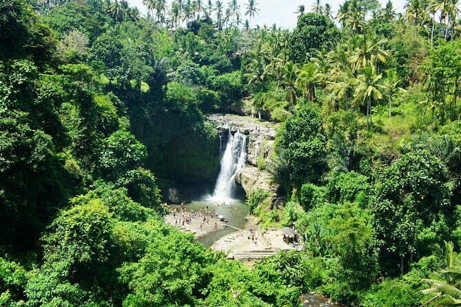 Full Day Private Tour to Ubud Waterfall and Uluwatu Sunset - Who Is This Tour Best For?