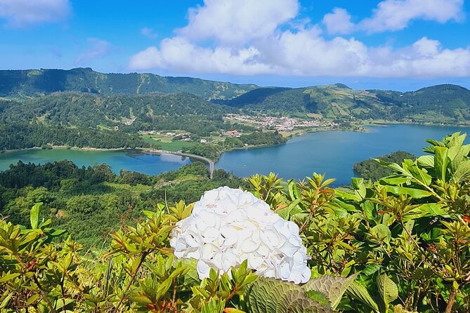 Full Day Private Tour West & East in São Miguel Island - Experiences
