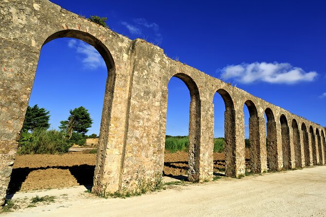 Full Day Private Transfer - From Lisbon to Porto Tour - Reviews and Ratings