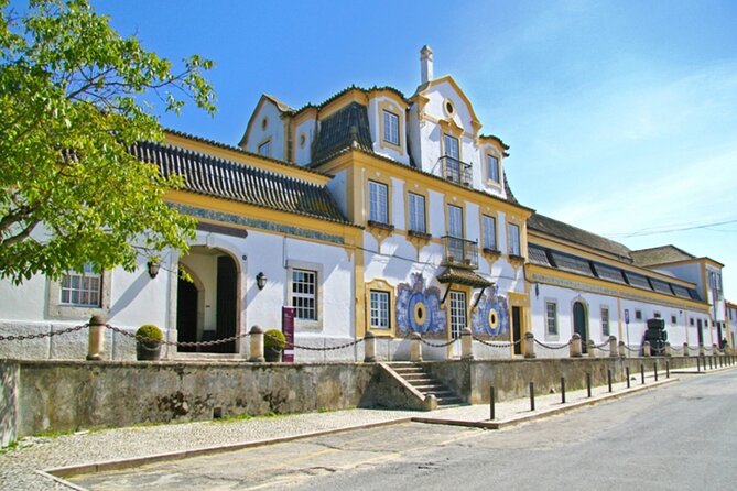 Full Day Private Transfer - Lisbon to Algarve Tour - Included Features