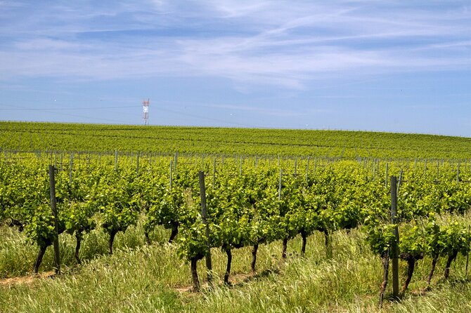 Full Day Private Transfer - Lisbon to Algarve Tour - Pickup Details