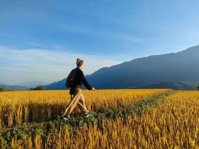 Full Day Private Trekking Mu Cang Chai - Itinerary Highlights