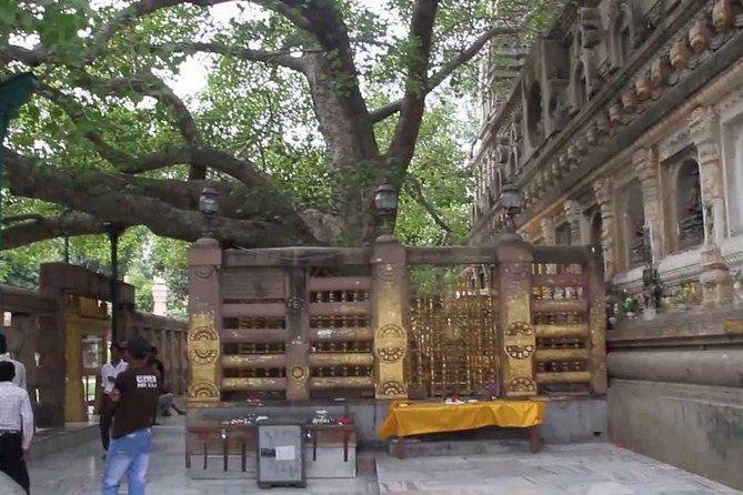 Full Day Private Trip to Bodhgaya From Varanasi - Participation Requirements