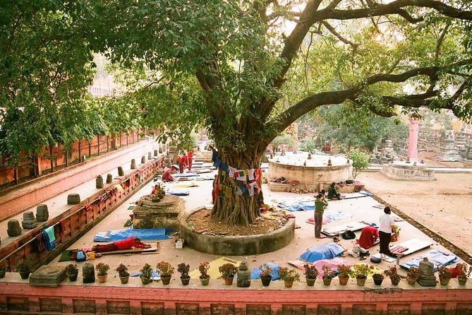Full Day Private Trip to Bodhgaya From Varanasi - Itinerary and Activities