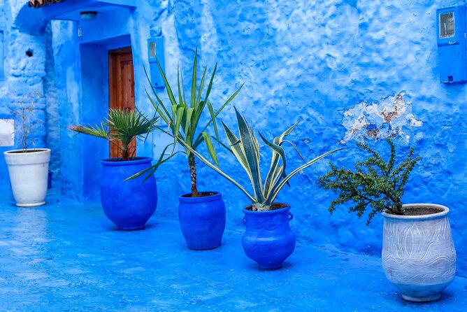 Full Day Private Trip to Chefchaouen the Blue City From Tangier - Whats Included