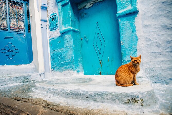 Full Day Private Trip to Chefchaouen the Blue City From Tangier - Additional Information