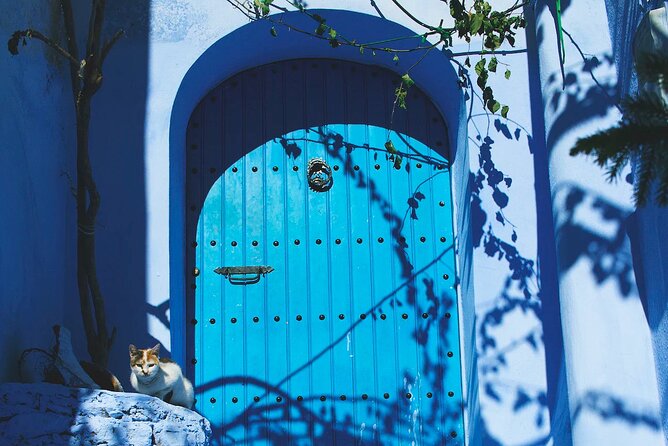 Full Day Private Trip to Chefchaouen the Blue City From Tangier - Chefchaouen Highlights