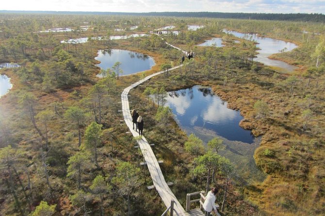 Full-Day Private Trip to Jurmala, Fisherman Villages and Nature Trails From Riga - Hiking Kemeri National Park