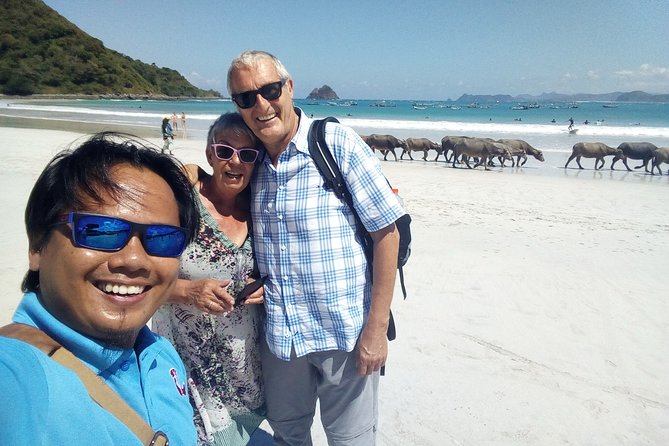Full-Day Private Trip to South Lombok - Transportation and Pickup Details
