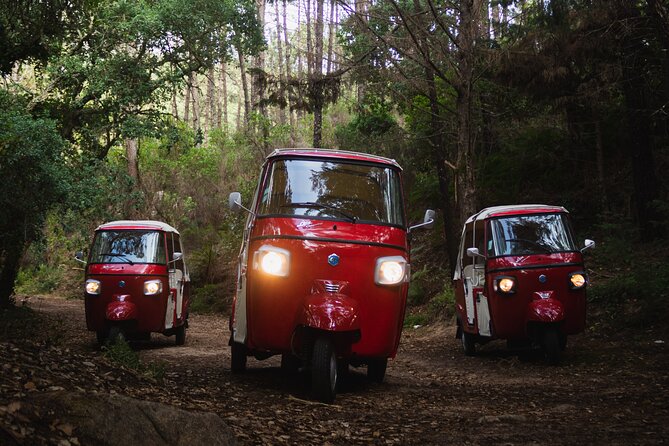 Full Day Private Tuk-Tuk Tour in Sintra - Traveler Reviews