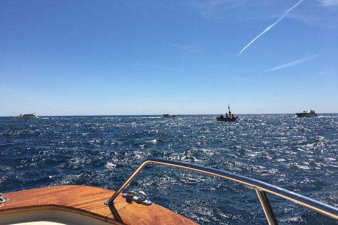 Full-Day Private VIP Boat Tour to Capri - Inclusions